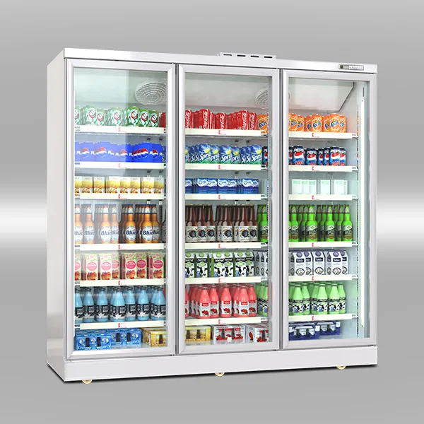 Luxury Remote Showcase Cooler view 7